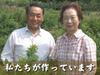 西条柿のほりお農園