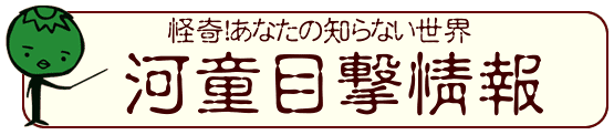 カッパの目撃情報