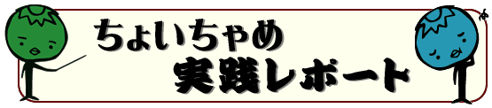 ちょいちゃめ実践レポート