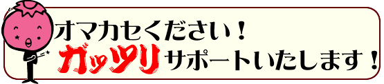 サポート内容