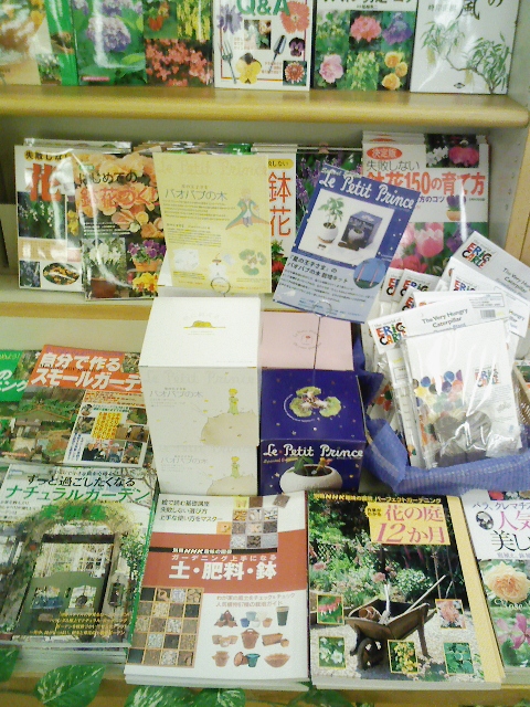 鉢植え