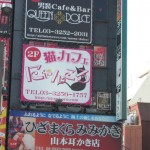 nekocafe